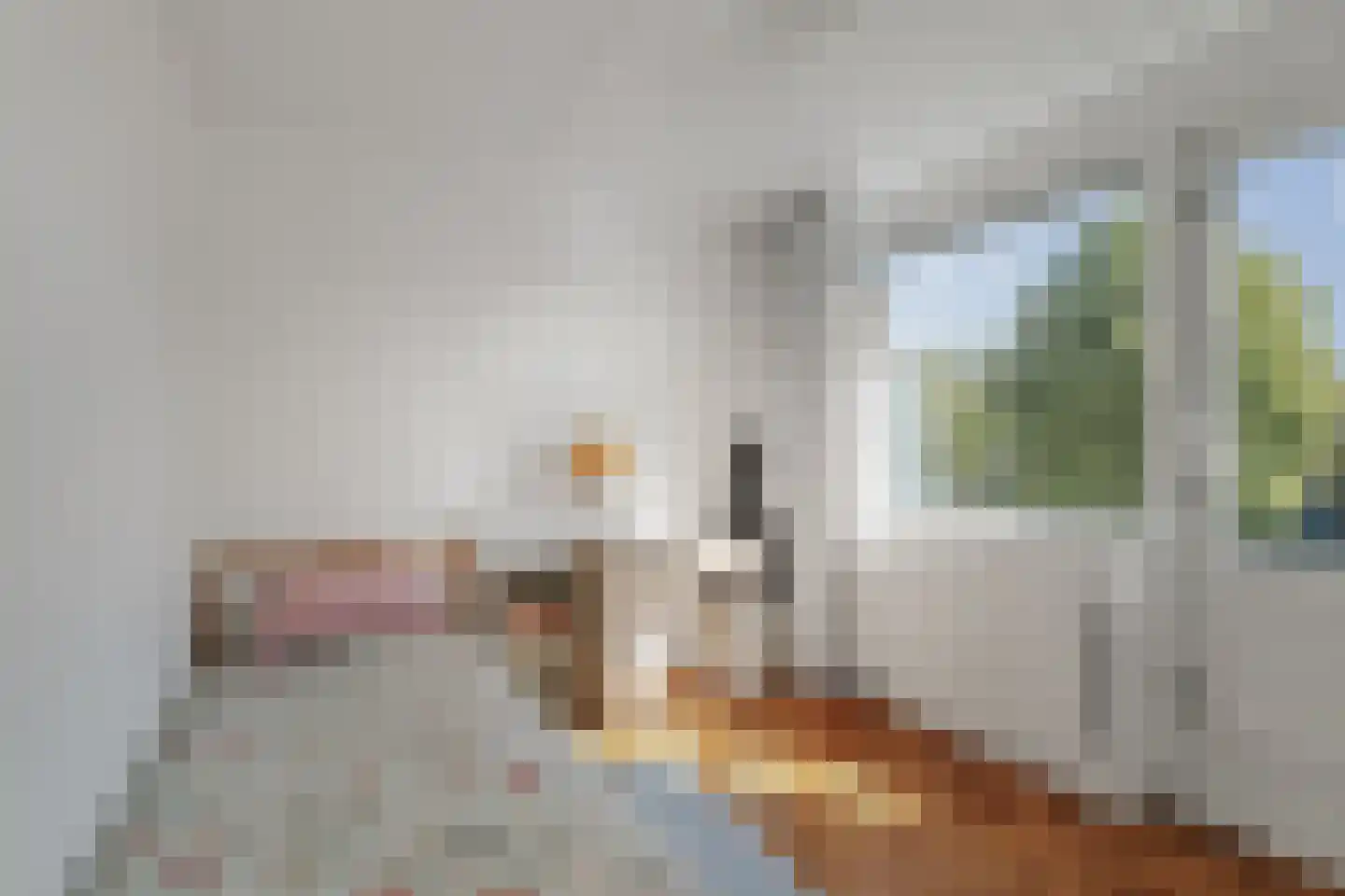 Jan Schamhartstraat 38 Olst thumbnail 27