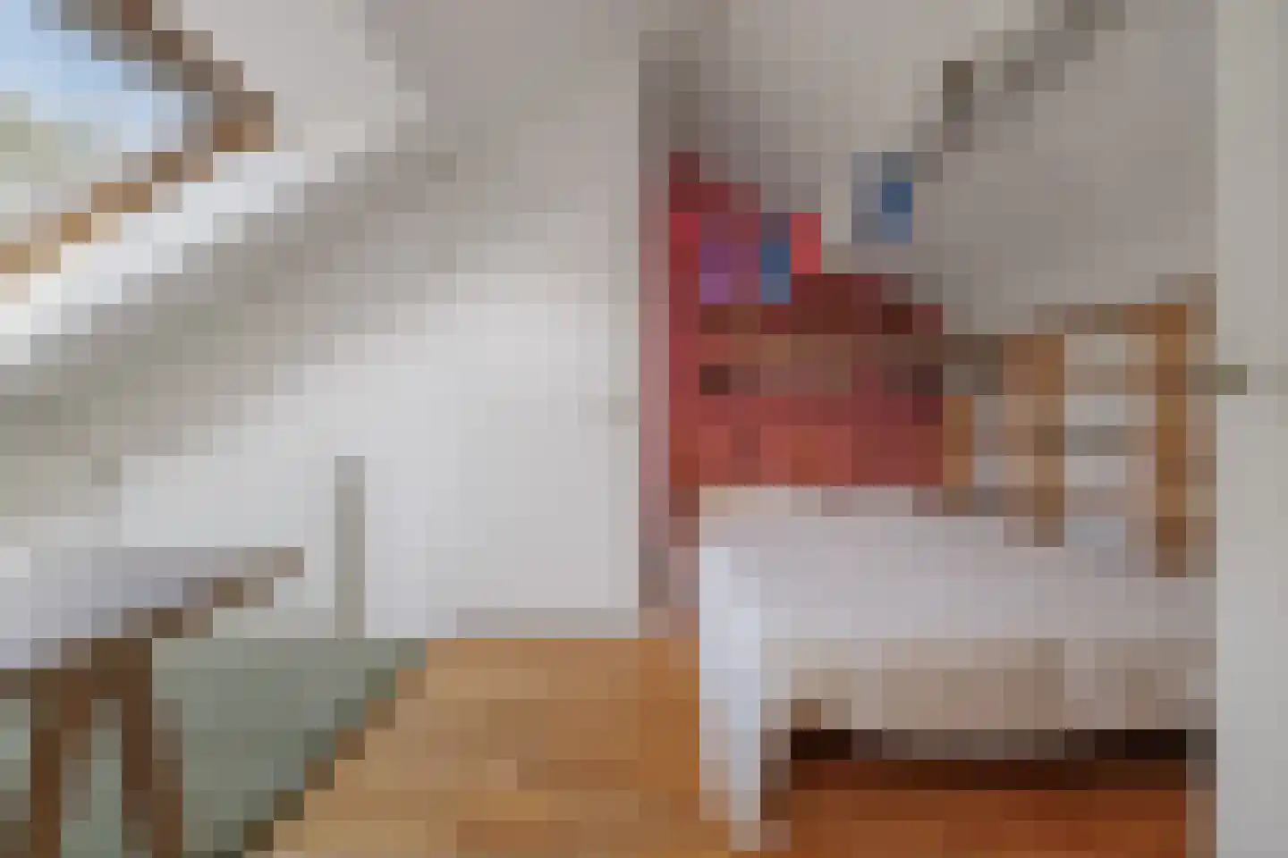 Jan Schamhartstraat 38 Olst thumbnail 34