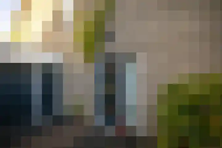 Jan Schamhartstraat 38 Olst thumbnail 4