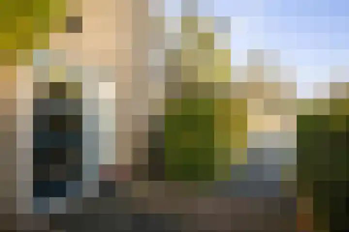 Jan Schamhartstraat 38 Olst thumbnail 5