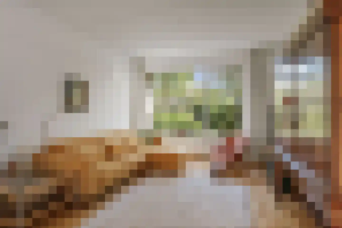 Jan Schamhartstraat 38 Olst thumbnail 6
