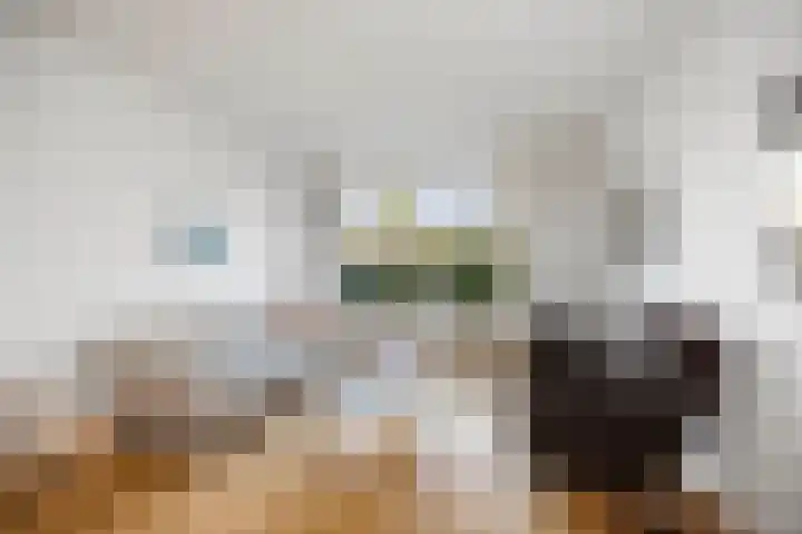Jan Schamhartstraat 38 Olst thumbnail 6