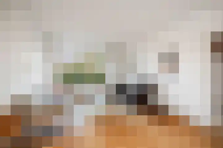 Jan Schamhartstraat 38 Olst thumbnail 7