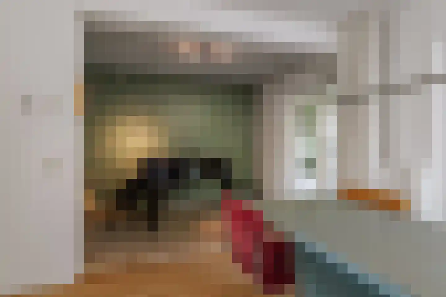 Jan Schamhartstraat 38 Olst thumbnail 9
