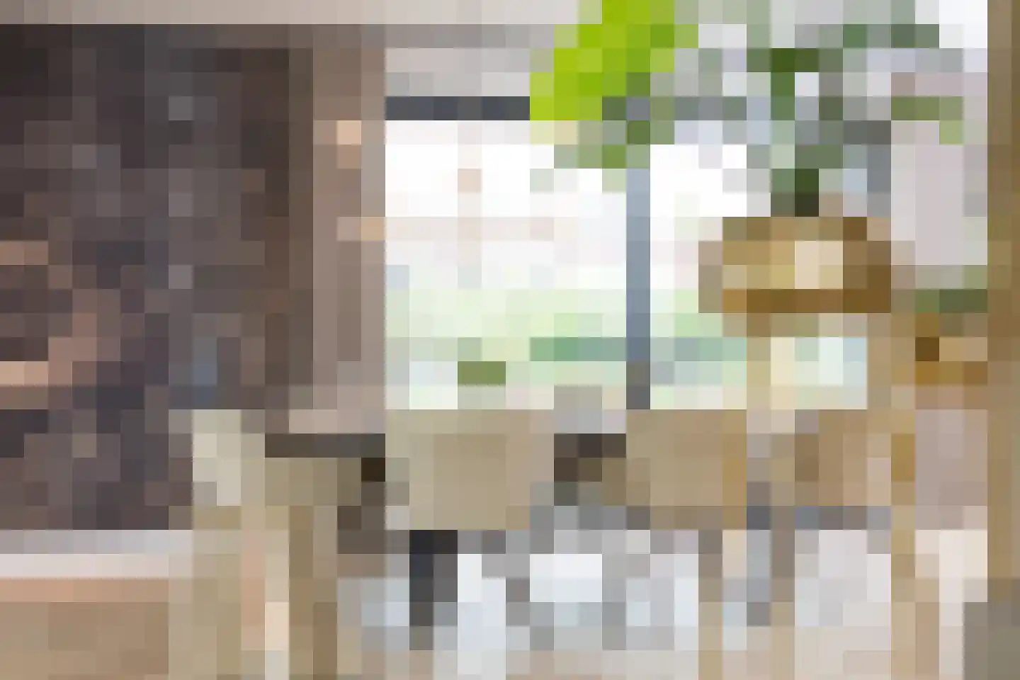 Jan Schamhartstraat 78 a Olst thumbnail 12