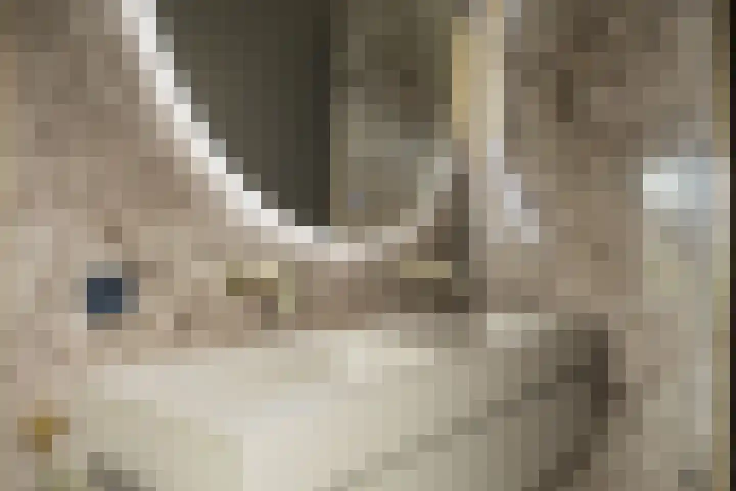 Jan Schamhartstraat 78 a Olst thumbnail 36