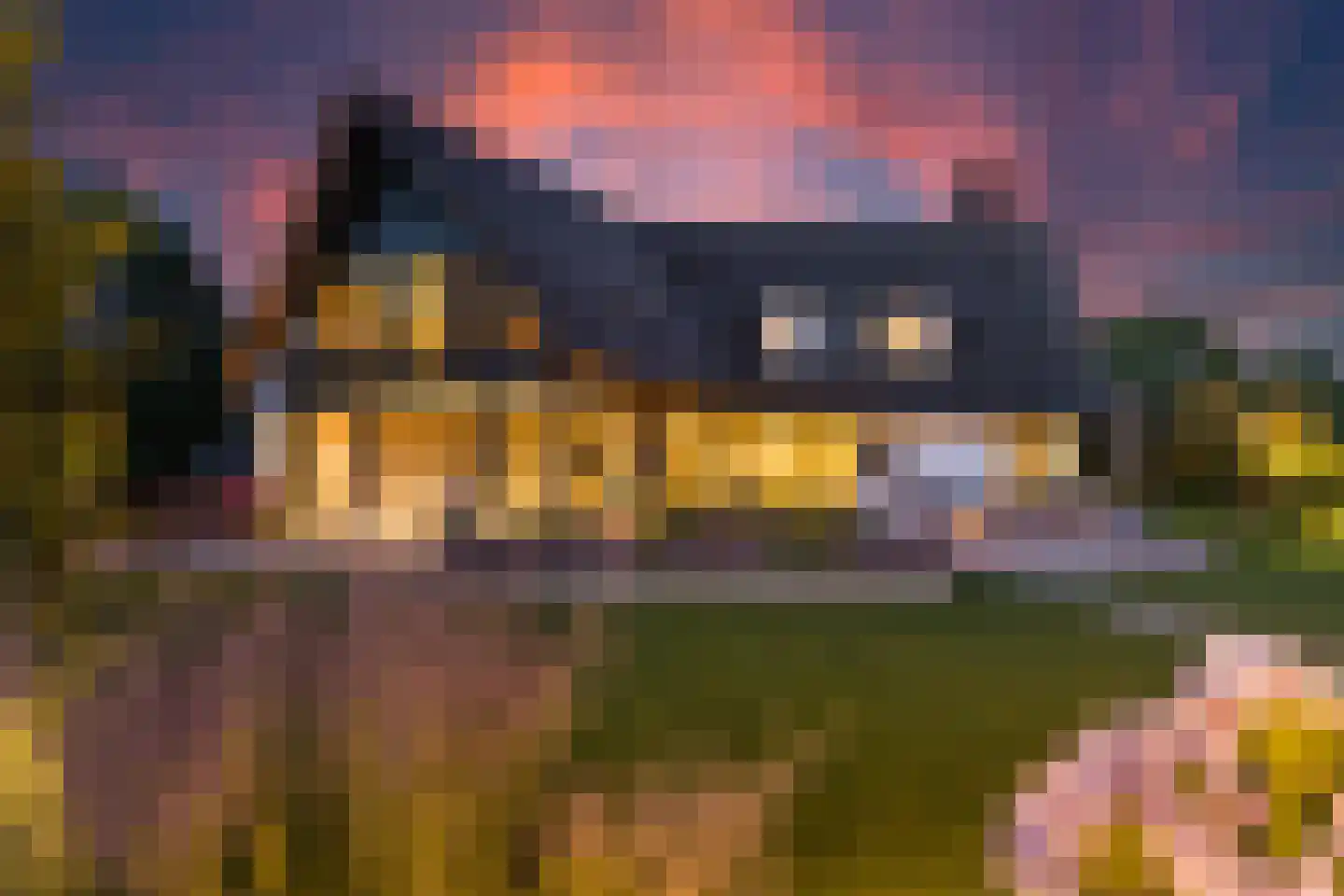 Jan Schamhartstraat 78 a Olst thumbnail 70
