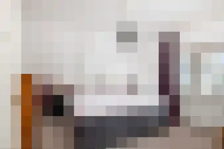 Jan Schamhartstraat 79 Olst thumbnail 26