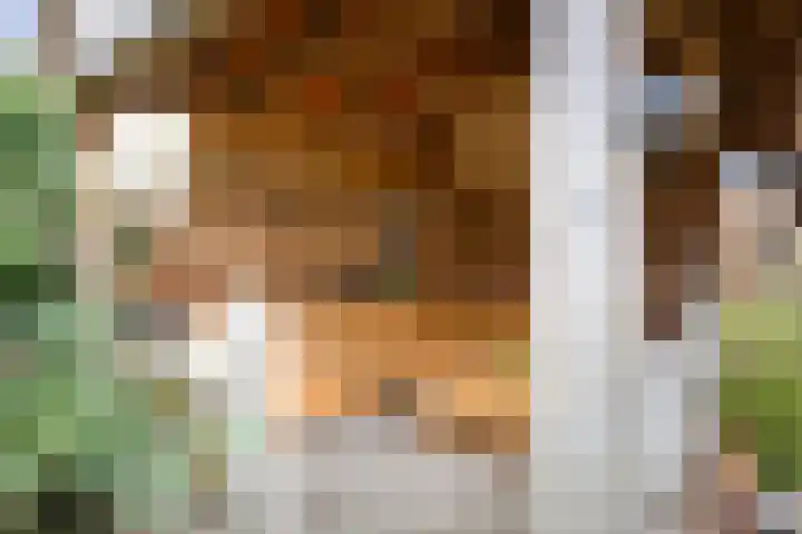 Jan Schamhartstraat 79 Olst thumbnail 31