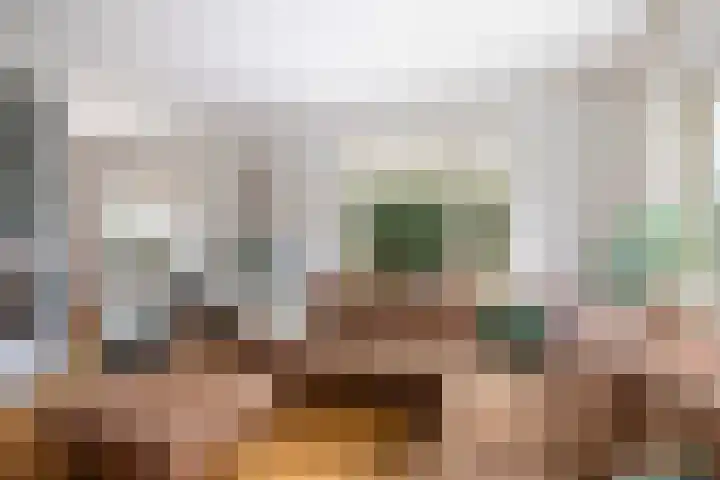 Jan Schamhartstraat 79 Olst thumbnail 4