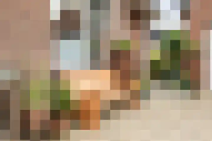 Jan Schamhartstraat 79 Olst thumbnail 41