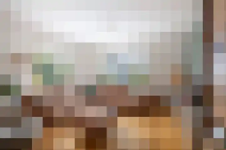 Jan Schamhartstraat 79 Olst thumbnail 7