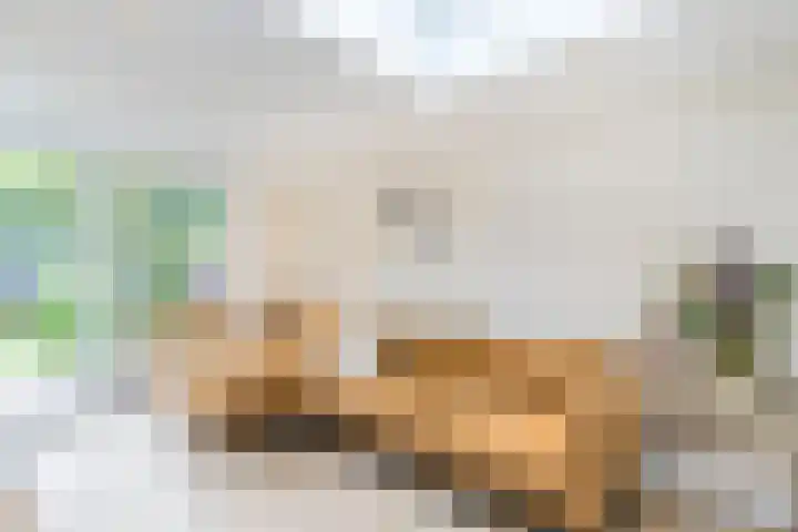 Jan Schierecklaan 1 Rotterdam thumbnail 10