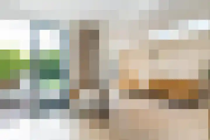 Jan Schierecklaan 1 Rotterdam thumbnail 11