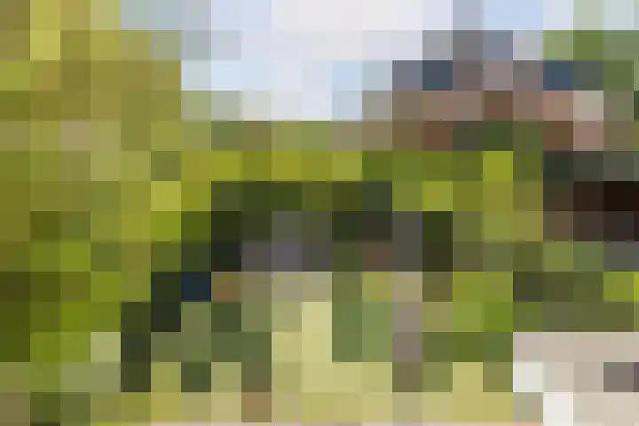 Jan Schierecklaan 1 Rotterdam thumbnail 12