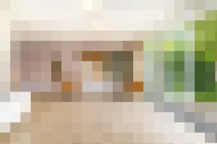 Jan Schierecklaan 1 Rotterdam thumbnail 15