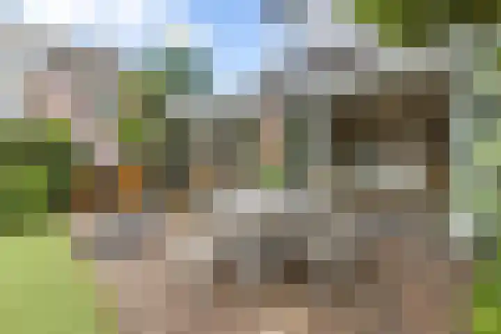 Jan Schierecklaan 1 Rotterdam thumbnail 16