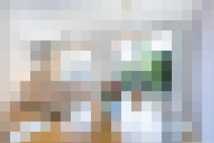 Jan Schierecklaan 1 Rotterdam thumbnail 19