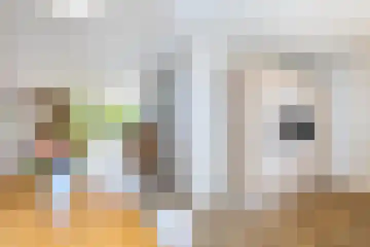 Jan Schierecklaan 1 Rotterdam thumbnail 20