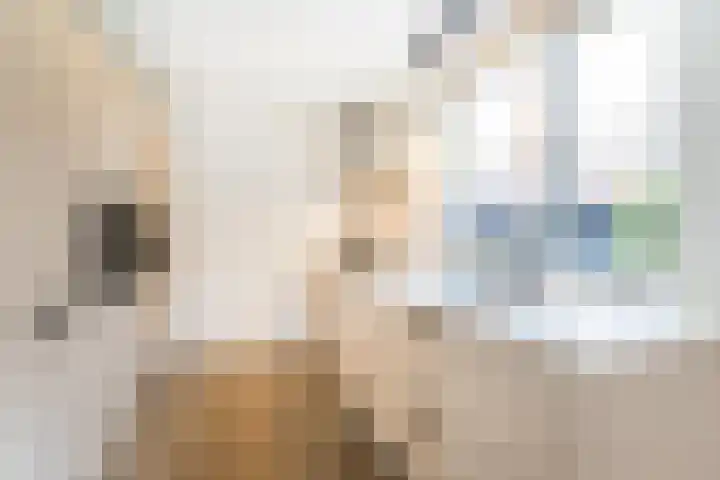 Jan Schierecklaan 1 Rotterdam thumbnail 23