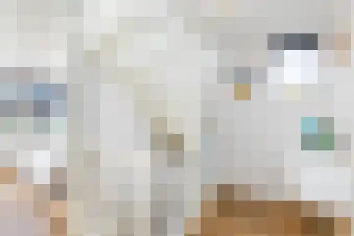 Jan Schierecklaan 1 Rotterdam thumbnail 26