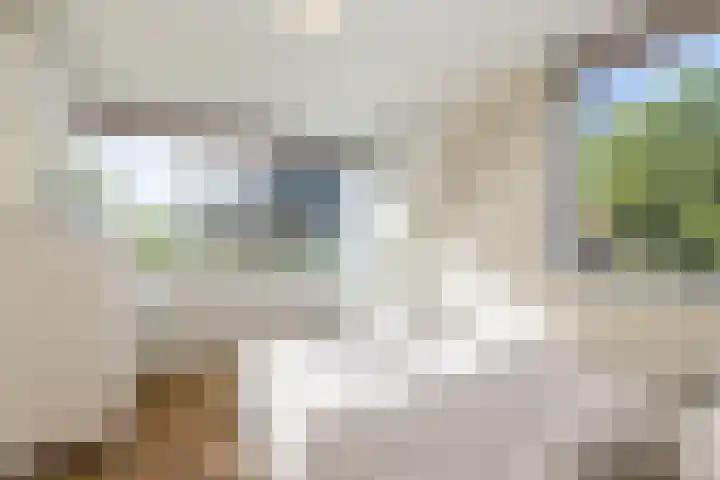 Jan Schierecklaan 1 Rotterdam thumbnail 27