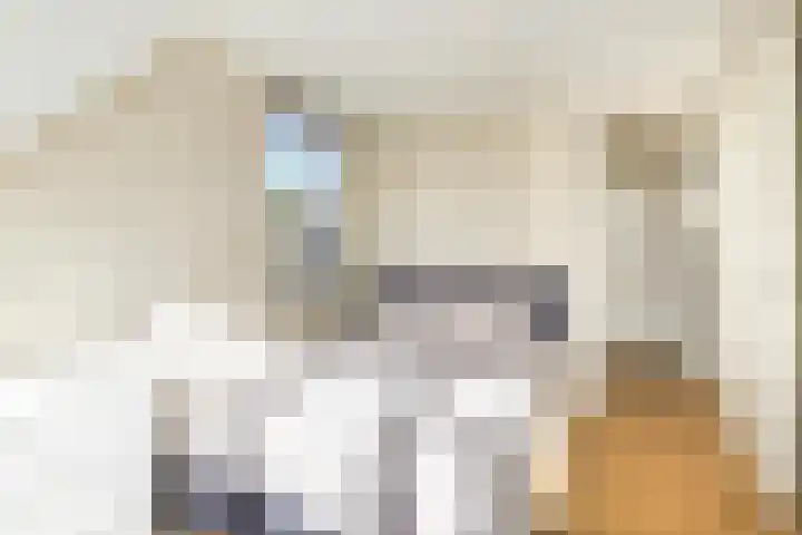 Jan Schierecklaan 1 Rotterdam thumbnail 28