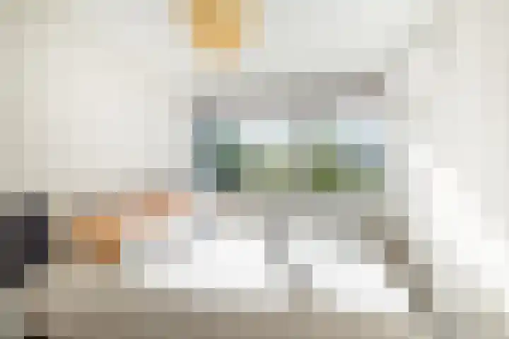 Jan Schierecklaan 1 Rotterdam thumbnail 29