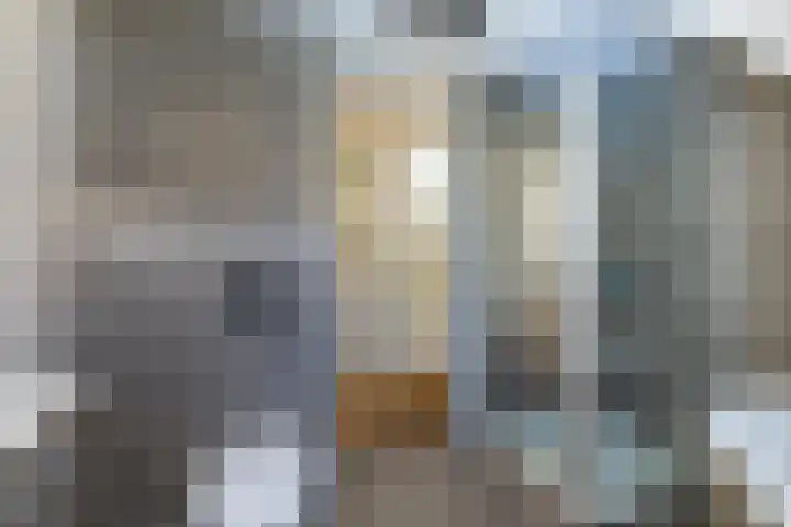 Jan Schierecklaan 1 Rotterdam thumbnail 33