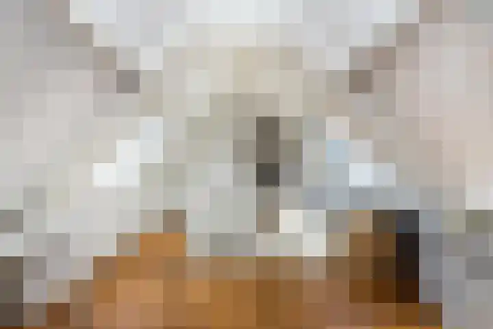 Jan Schierecklaan 1 Rotterdam thumbnail 35
