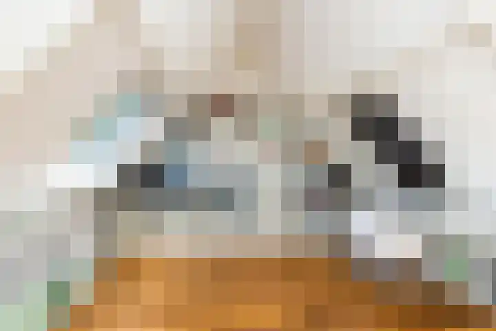 Jan Schierecklaan 1 Rotterdam thumbnail 36