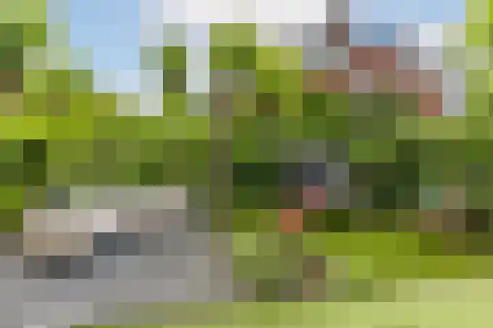 Jan Schierecklaan 1 Rotterdam thumbnail 42