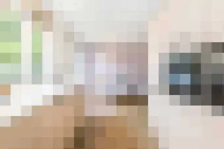 Jan Schierecklaan 1 Rotterdam thumbnail 5