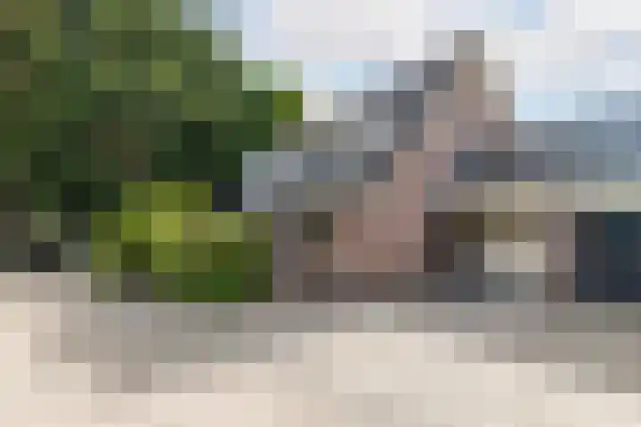 Jan Schierecklaan 1 Rotterdam thumbnail 6
