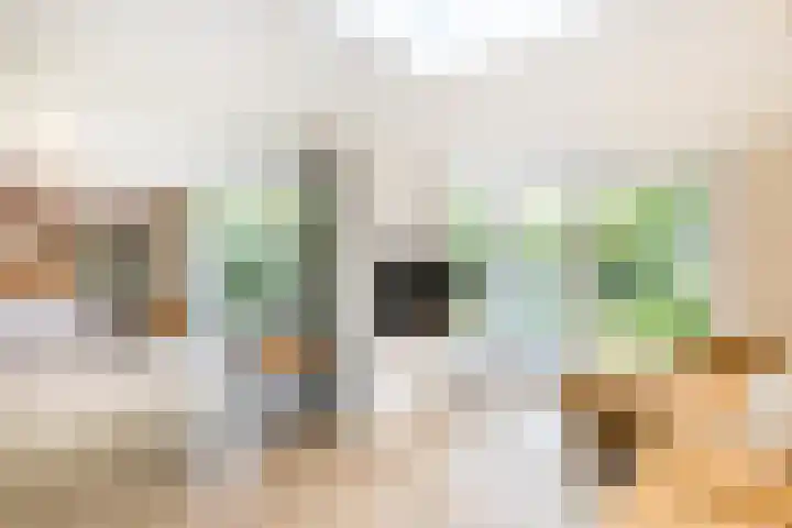 Jan Schierecklaan 1 Rotterdam thumbnail 8