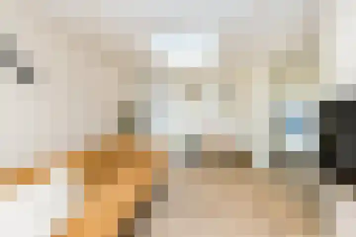 Jan Schierecklaan 1 Rotterdam thumbnail 9
