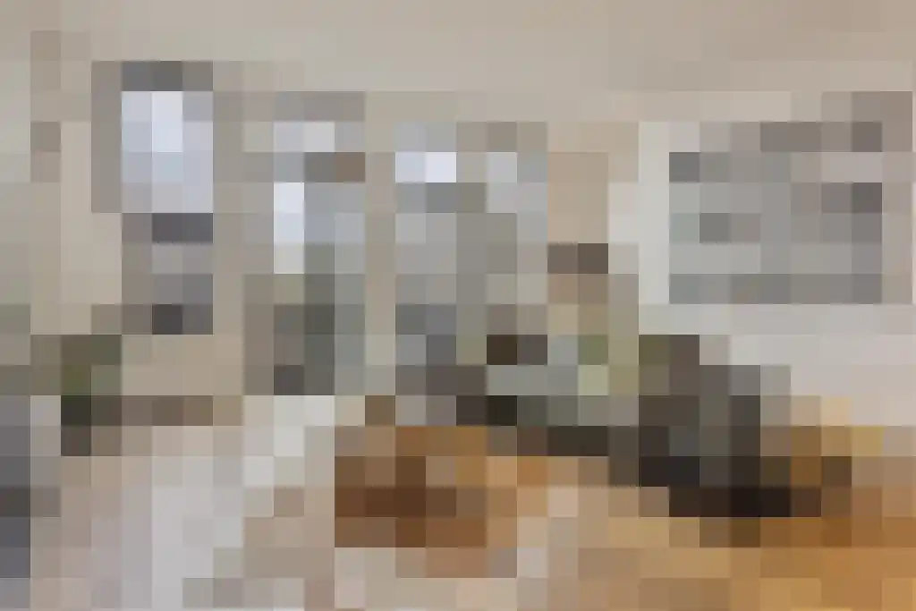Jan Schöfferlaan 14 's-Hertogenbosch thumbnail 10