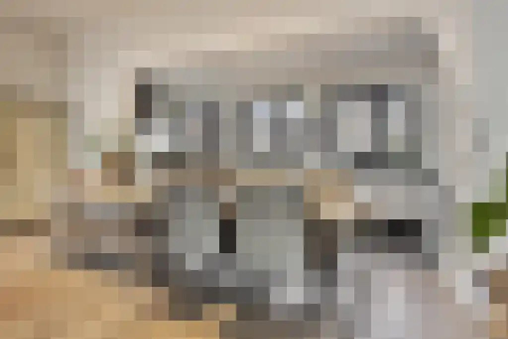 Jan Schöfferlaan 14 's-Hertogenbosch thumbnail 12