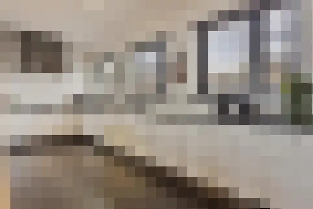Jan Schöfferlaan 14 's-Hertogenbosch thumbnail 13