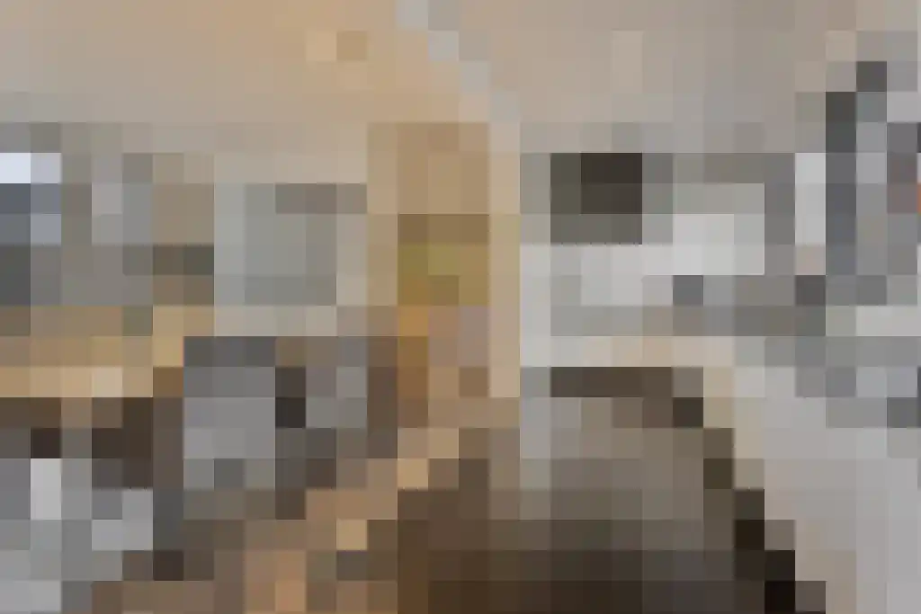 Jan Schöfferlaan 14 's-Hertogenbosch thumbnail 14