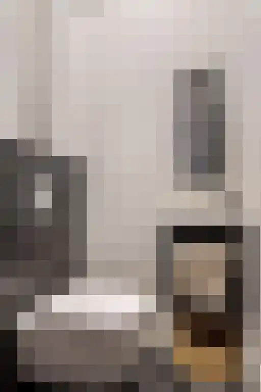 Jan Schöfferlaan 14 's-Hertogenbosch thumbnail 16