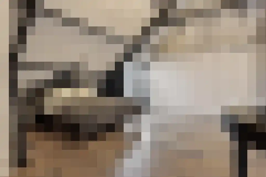 Jan Schöfferlaan 14 's-Hertogenbosch thumbnail 18
