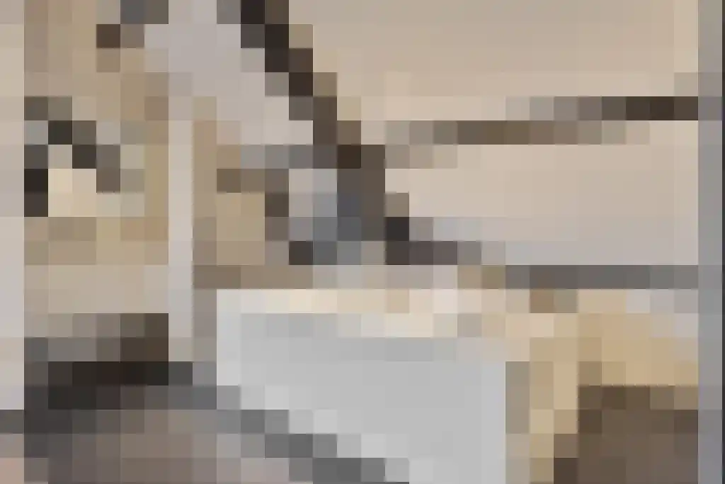 Jan Schöfferlaan 14 's-Hertogenbosch thumbnail 20