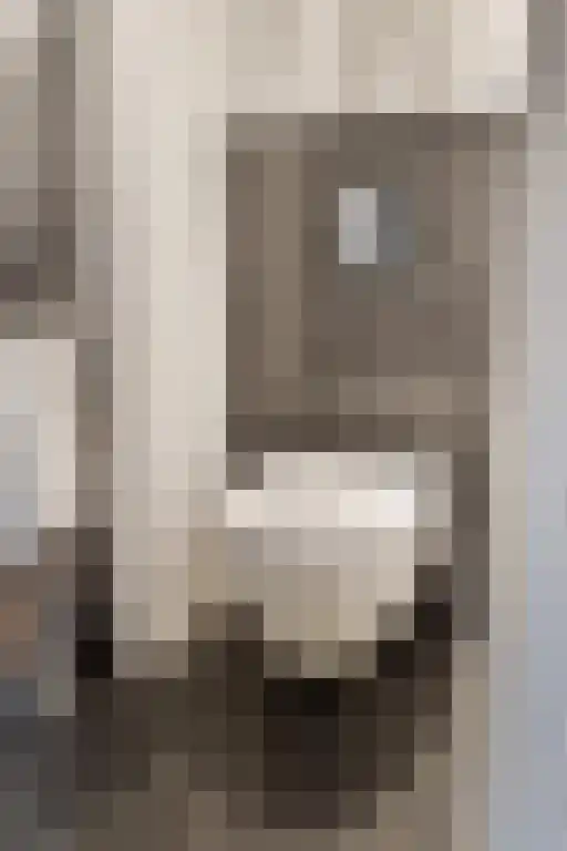 Jan Schöfferlaan 14 's-Hertogenbosch thumbnail 21