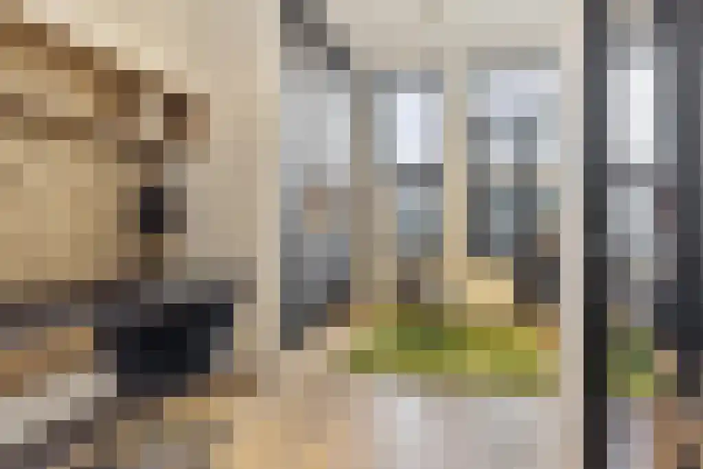 Jan Schöfferlaan 14 's-Hertogenbosch thumbnail 4