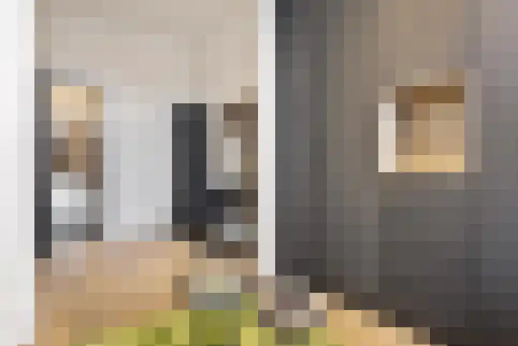 Jan Schöfferlaan 14 's-Hertogenbosch thumbnail 5