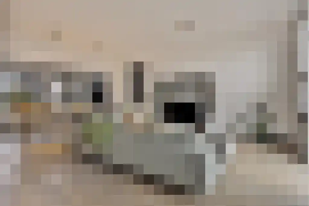 Jan Schöfferlaan 14 's-Hertogenbosch thumbnail 9