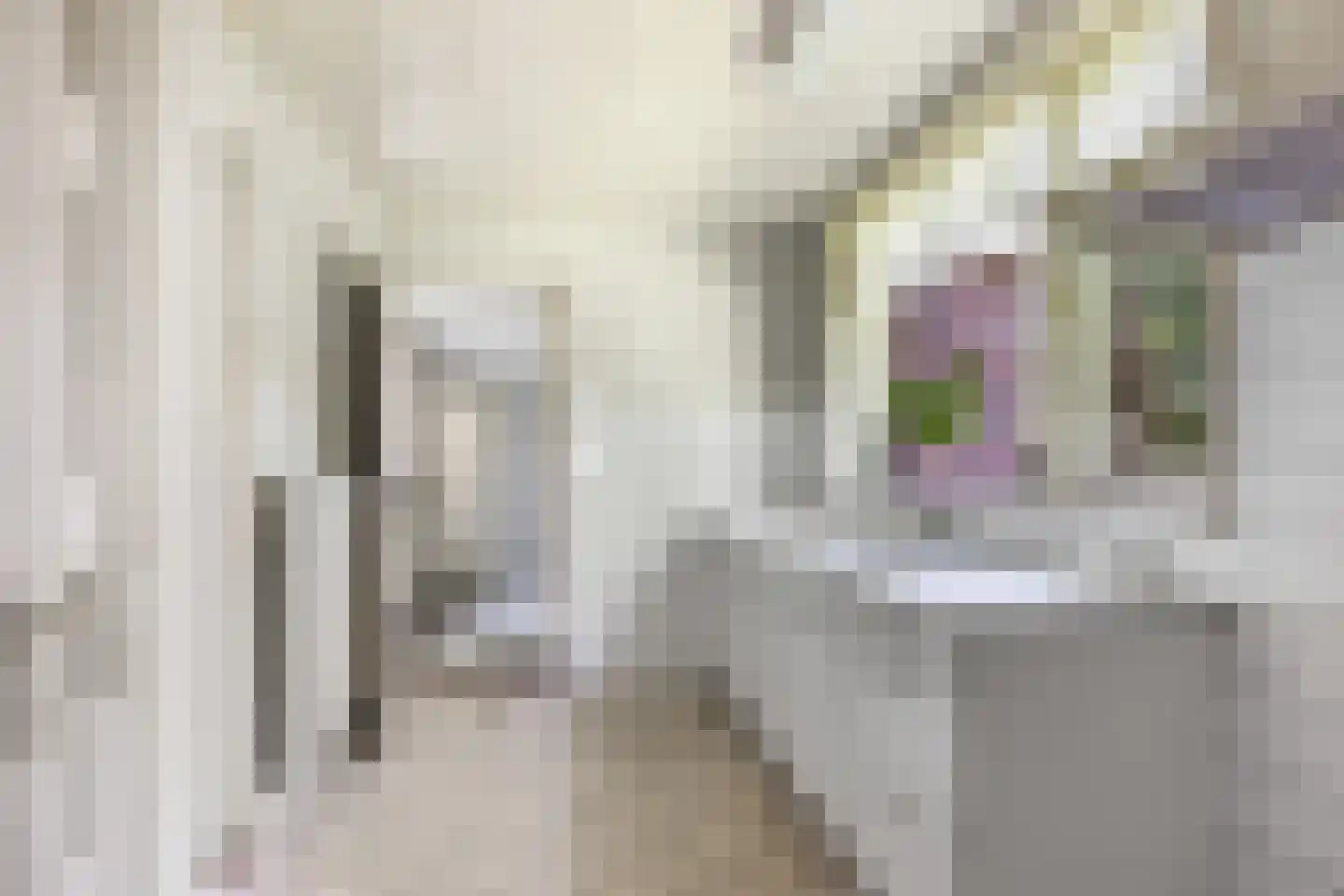 Jan Schotanuswei 53 Oudemirdum thumbnail 13