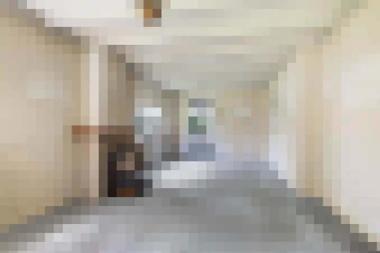 Jan Schotanuswei 53 Oudemirdum thumbnail 15