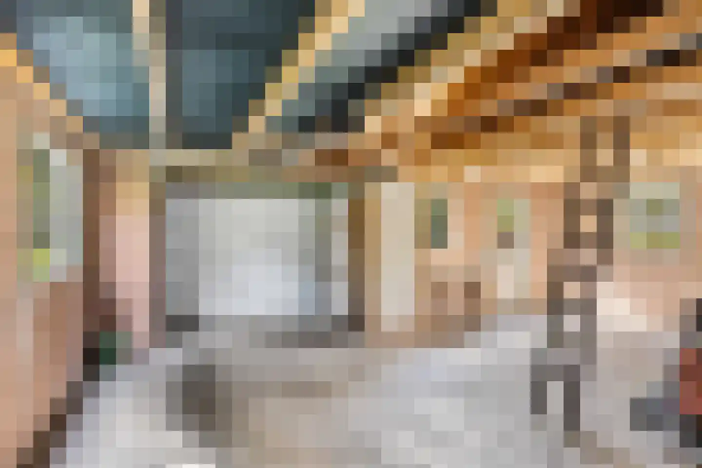 Jan Schotanuswei 53 Oudemirdum thumbnail 19